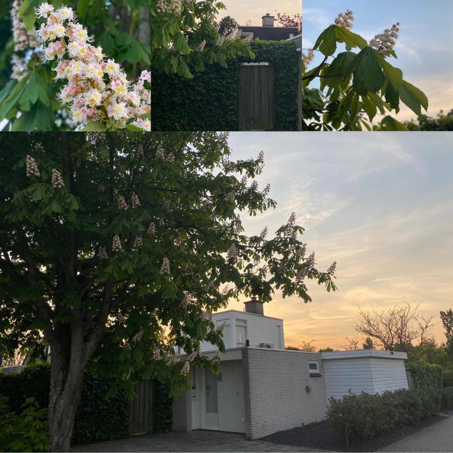 Vakantiebungalow Mee Naar Ouddorp Aan Zee Экстерьер фото